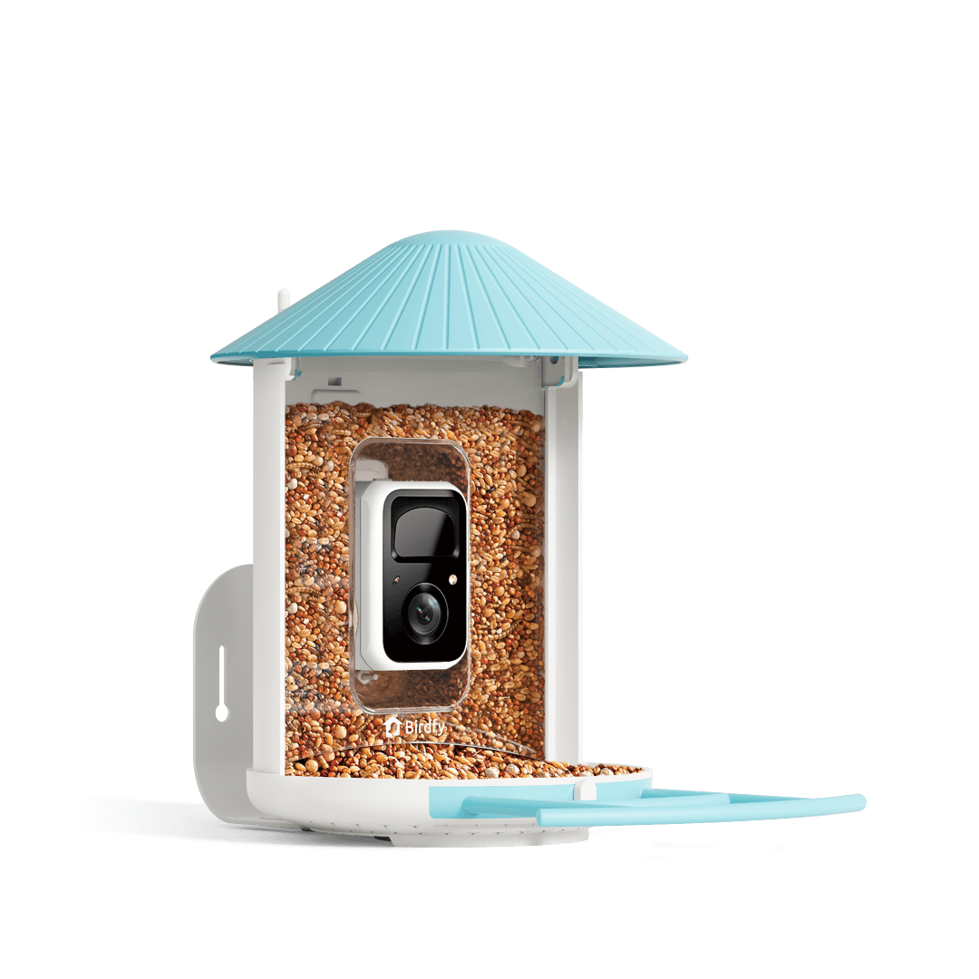 Birdfy Smart Bird Feeder with AI Camera showing green housing and translucent seed chamber