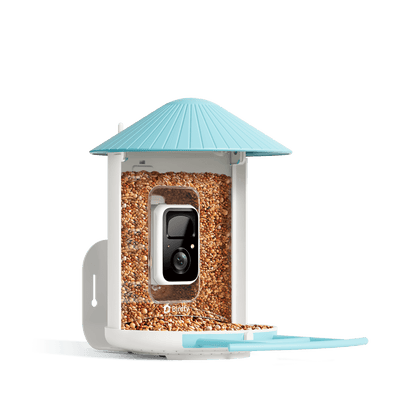 Birdfy Smart Bird Feeder with AI Camera showing green housing and translucent seed chamber