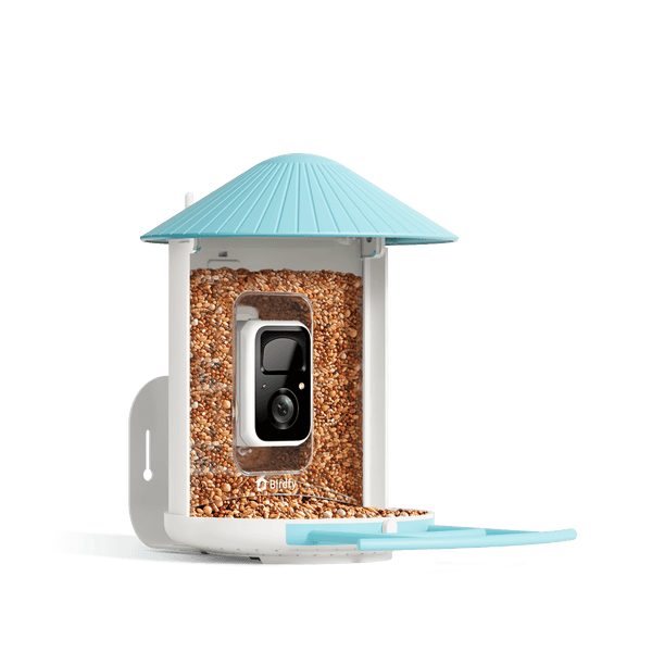 Birdfy Smart Bird Feeder with AI Camera showing green housing and translucent seed chamber