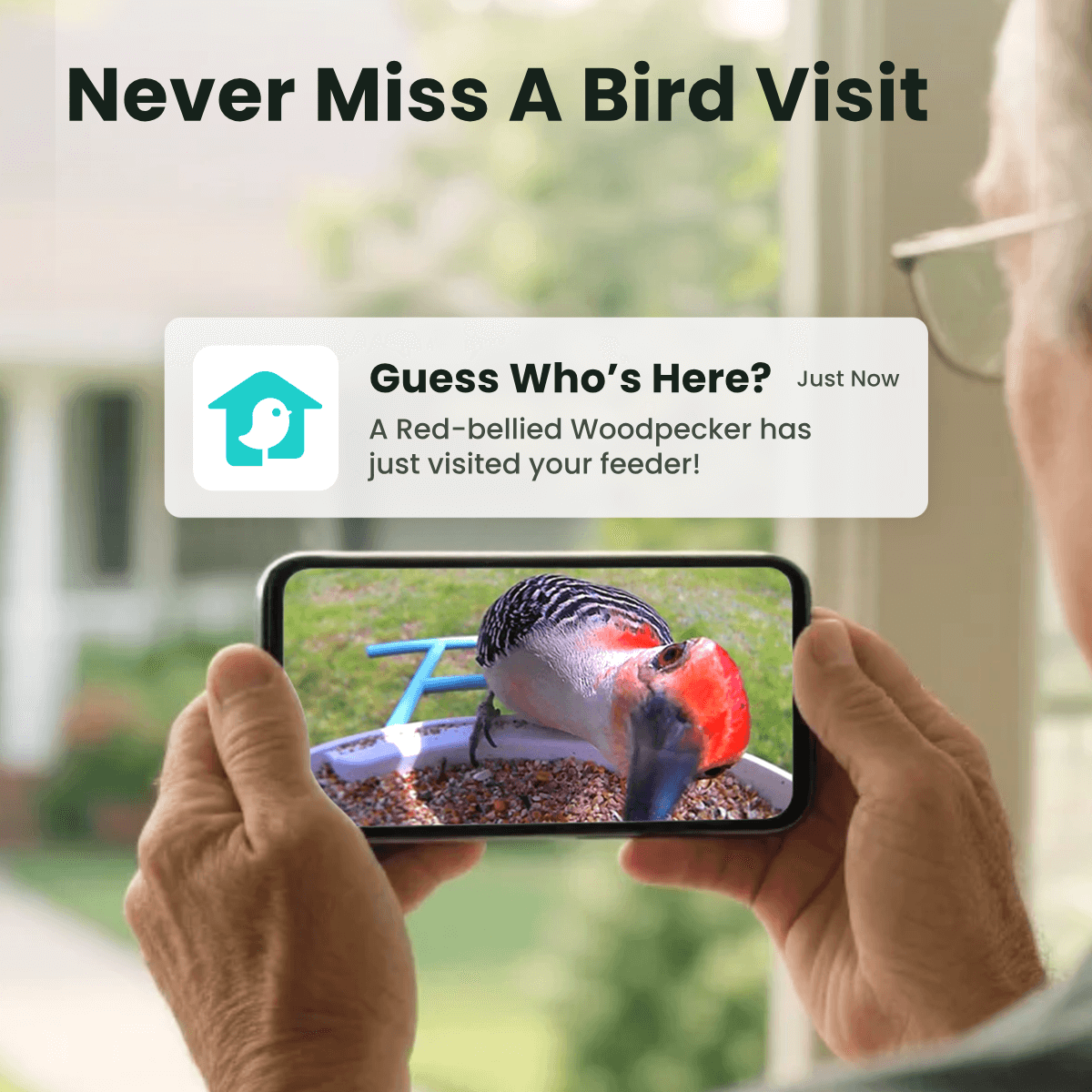 Birdfy Smart Bird Feeder mounted on tree branch with cardinal feeding from seed port