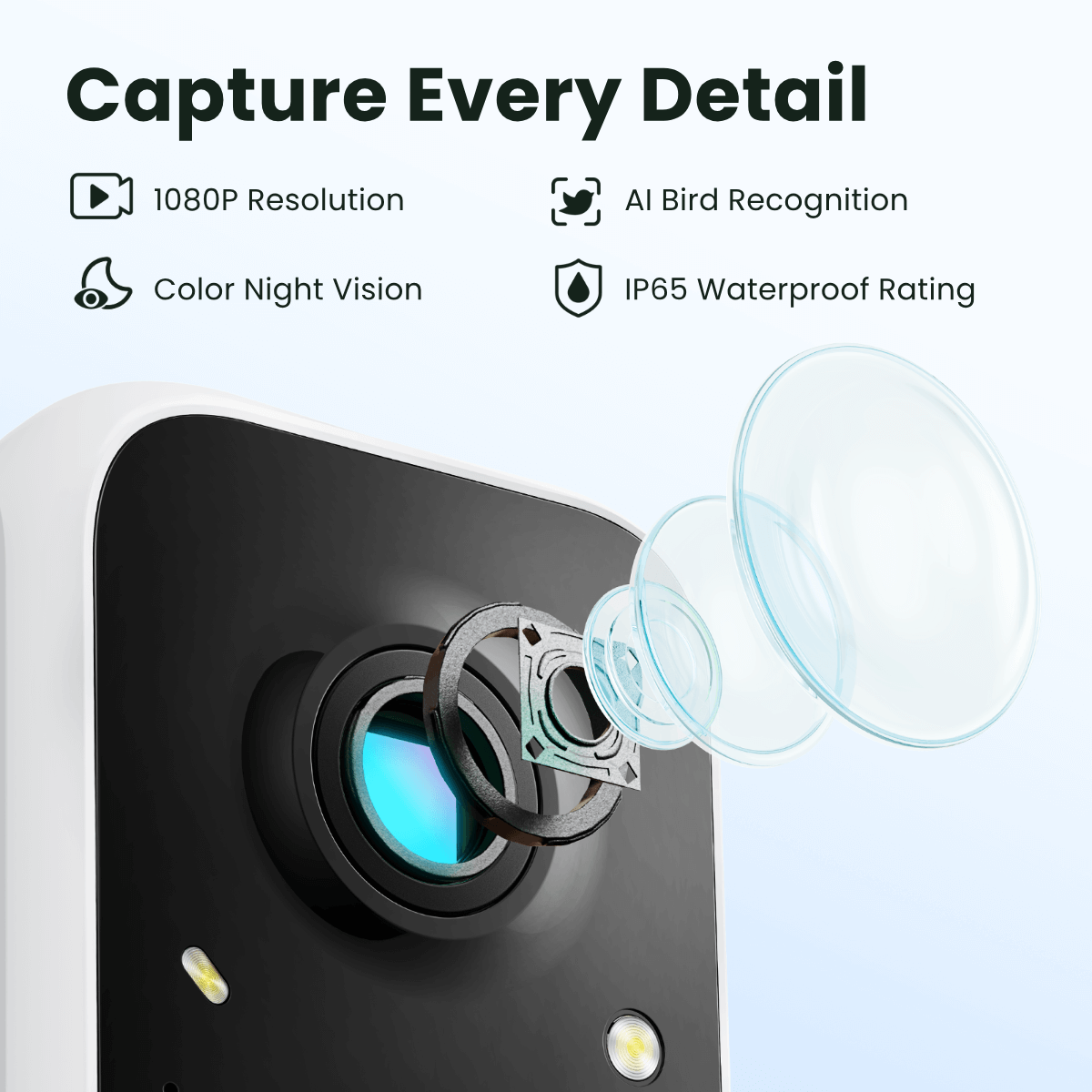 Birdfy mobile app interface showing bird identification and photo gallery on smartphone