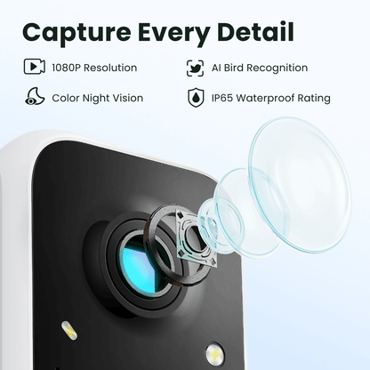 Birdfy mobile app interface showing bird identification and photo gallery on smartphone