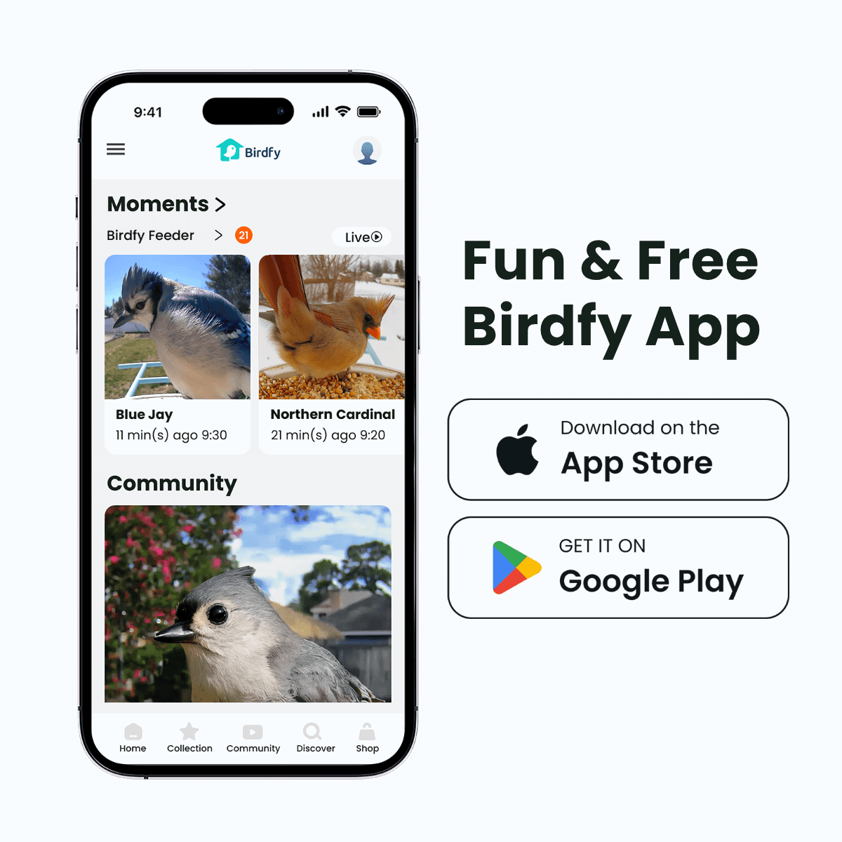 Birdfy Smart Bird Feeder package contents including feeder, mounting hardware, and microSD card