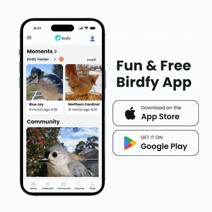 Birdfy Smart Bird Feeder package contents including feeder, mounting hardware, and microSD card